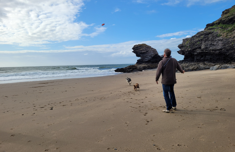 Dogs on the beach during an Autumn breaks UK